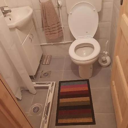 Vikendica Mijajlovic 2 Holiday home *