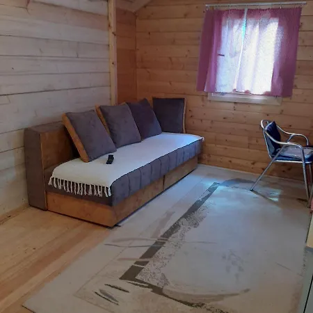 Vikendica Mijajlovic 2 Kursumlija
