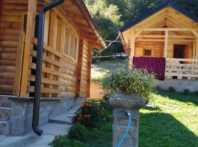 Ferienhaus Vikendica Mijajlovic 2